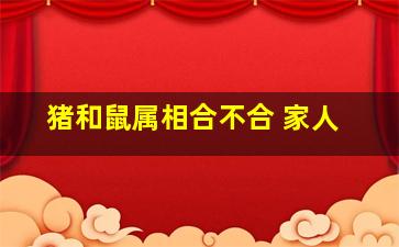 猪和鼠属相合不合 家人